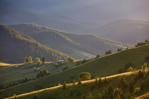 Montaż klimatyzacji w sklepach i lokalach usługowych w Pruszkowie — wymogi i praktyka