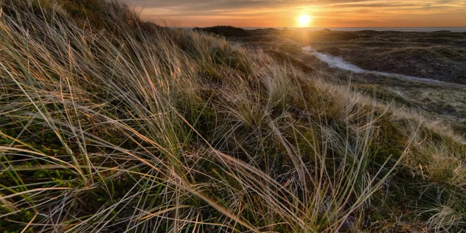 Podatki w Szwajcarii: Kluczowe informacje dla inwestorów i przedsiębiorców